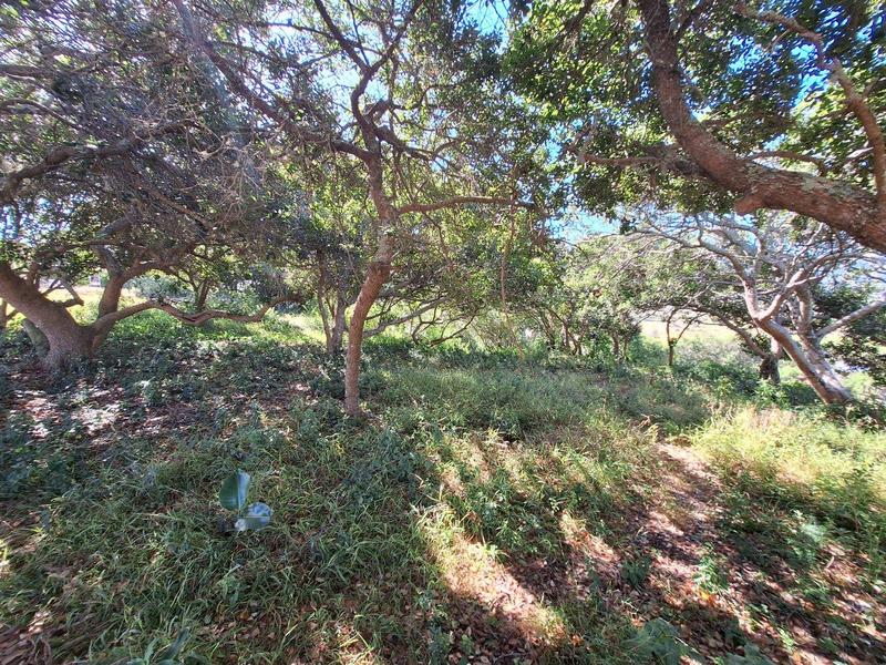 0 Bedroom Property for Sale in Bergsig Western Cape